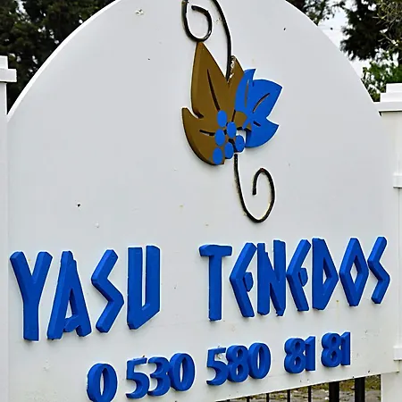 Yasu Tenados 2*