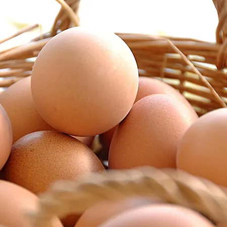 Yasu Tenados 2* Bozcaada