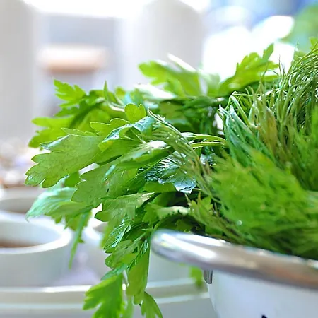 Hotel Yasu Tenados 2*