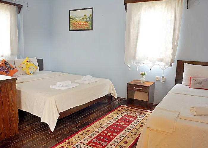 Yasu Tenados 2* بوزجادا