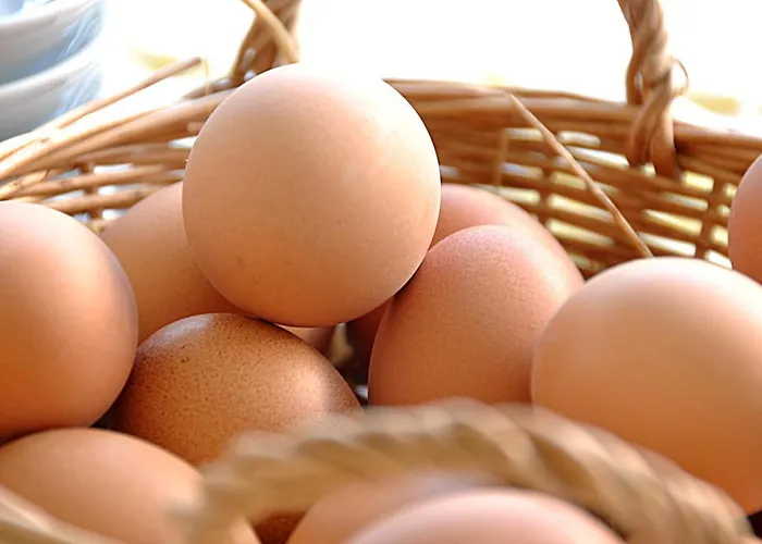 Yasu Tenados 2* Bozcaada