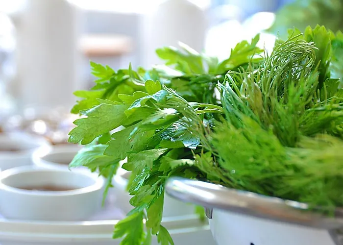 Hotel Yasu Tenados 2*